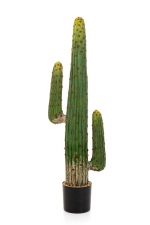 Mexican cactus 125cm